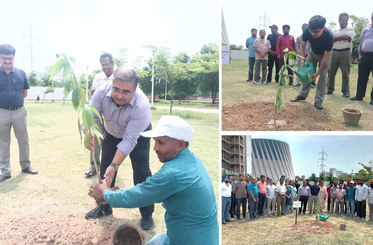Latest update: Tree plantation on 08 May 2026 - Swachhta Pakhwada–2026