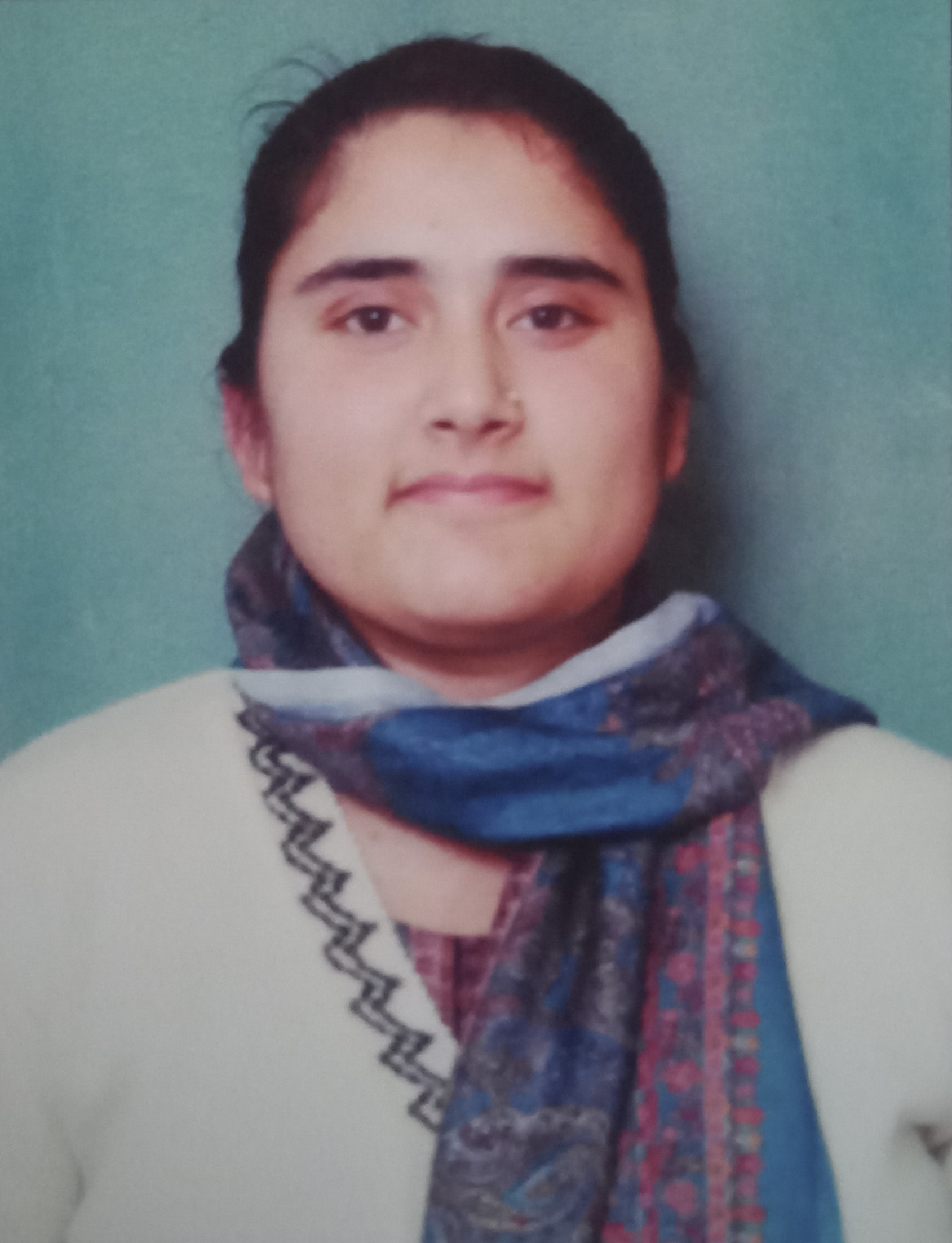 PALVI